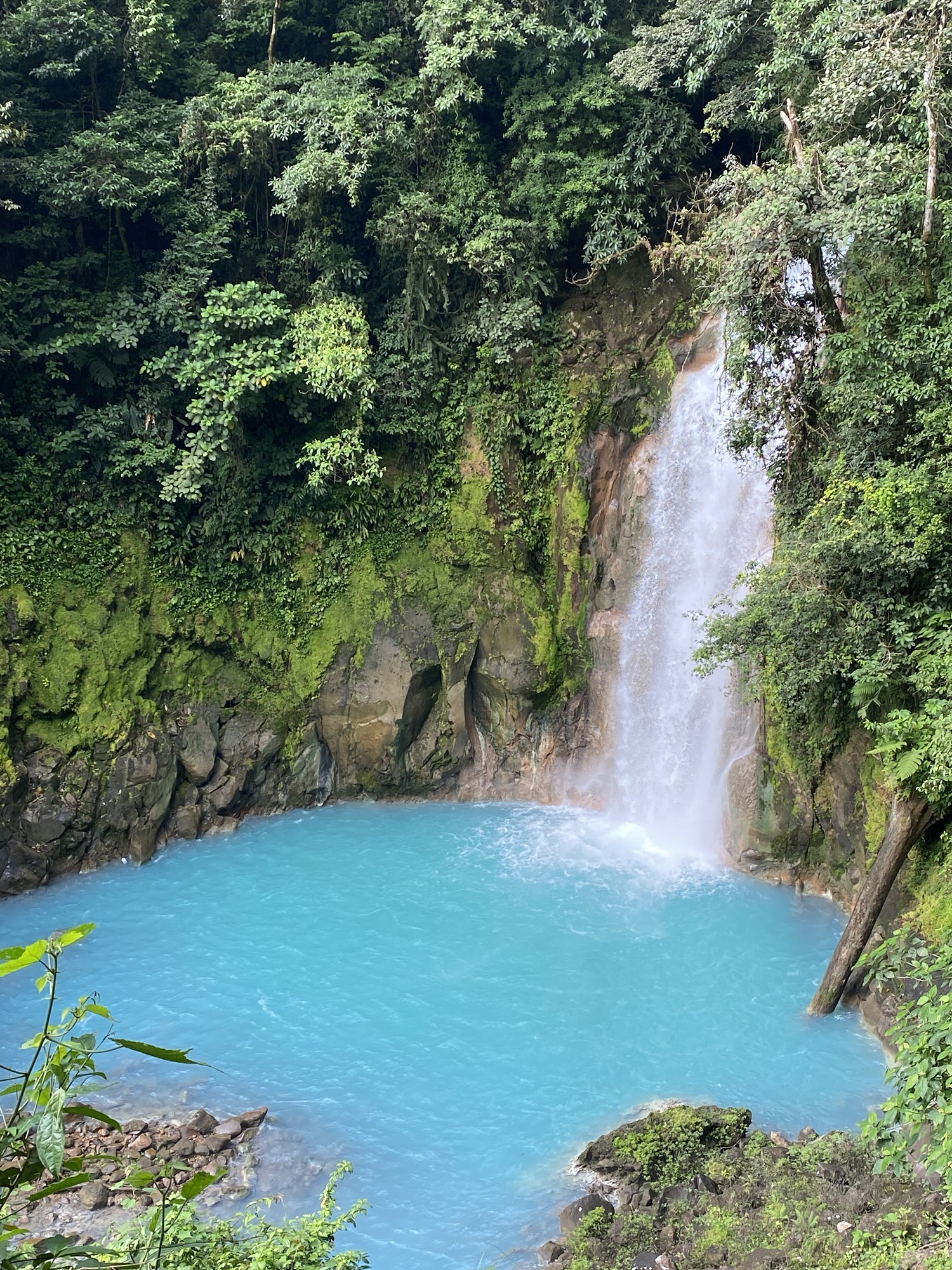 Costa Rica Biodiversity: Top Rainforest, Waterfalls, and Volcano Visits