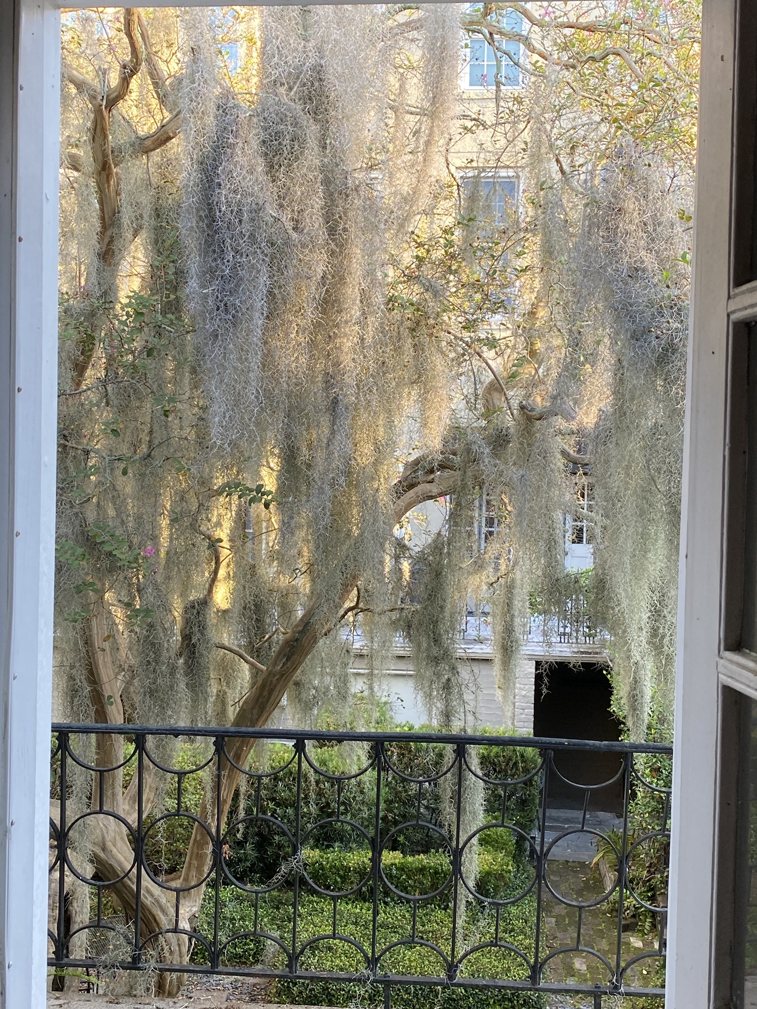 The Ultimate Top 12 Things To Do in Savannah + Tybee Island & Best Eats!